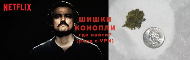 трава Сатка