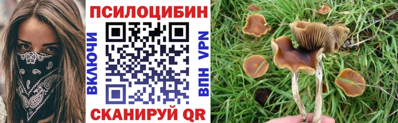 Галлюциногенные грибы GOLDEN TEACHER  что такое наркотик  Плавск 